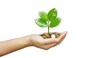 Hand holding a small plant growing from a pile of coins, symbolizing financial savings and eco-friendly practices related to installing eco showerheads.