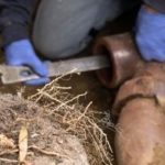 Worker in gloves using a wrench on a brown pipe in an underground plumbing setting by Lodder Brothers Limited.