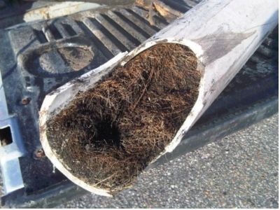 Sewer pipe section filled with tree roots and debris, illustrating common issue identified during sewer camera inspections for plumbing diagnostics.