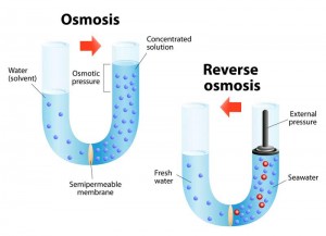 Diagram illustrating the process of osmosis and reverse osmosis, showing water movement through a semipermeable membrane, emphasizing water purification mechanisms relevant to reverse osmosis filtration systems.