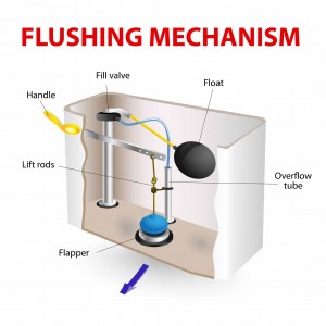 Flushing mechanism diagram illustrating components like the fill valve, float, lift rods, flapper, and overflow tube, relevant to toilet repair and maintenance.